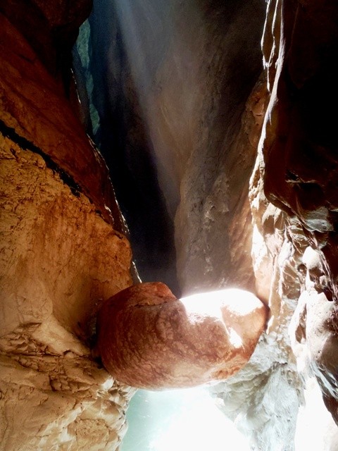 Zemola inf6.JPG - 85.33 kb