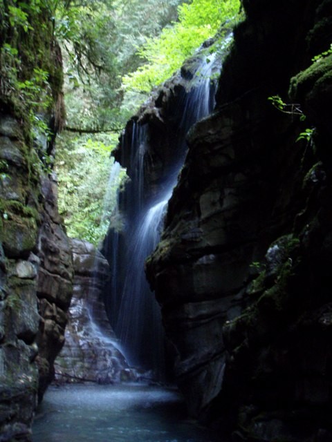 P9080353.JPG - 72.44 kb