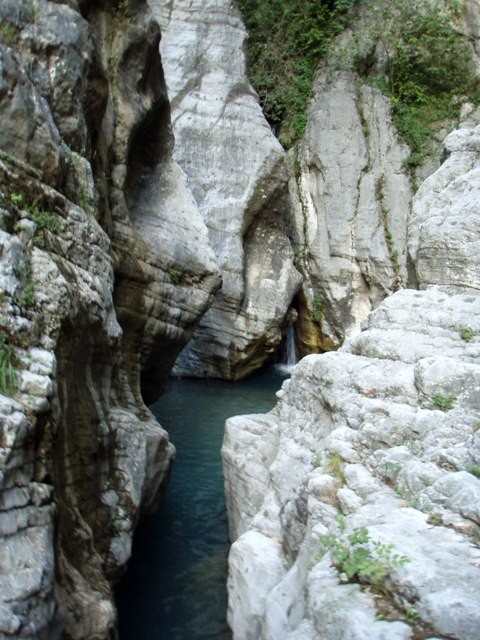 P9080409.JPG - 99.5 kb