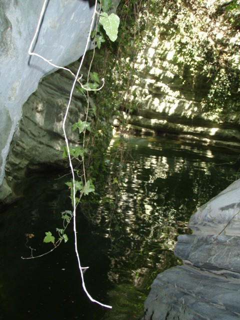 P5180042.JPG - 103.21 kb