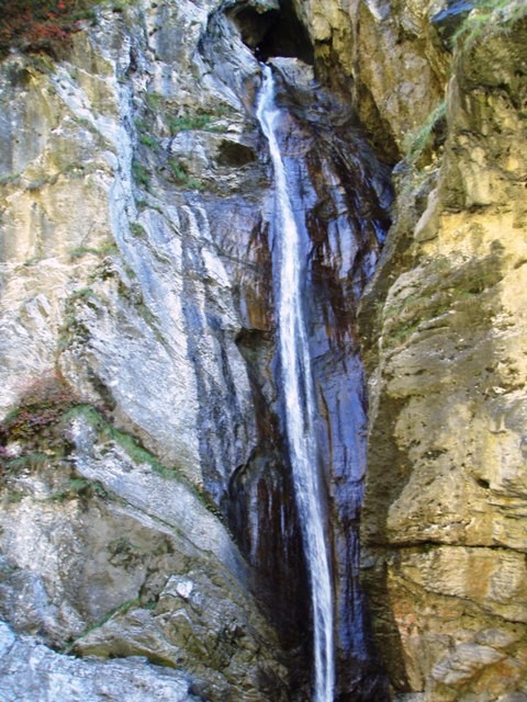 Palvico1.JPG - 117.69 kb