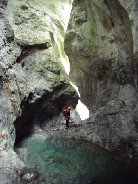 Palvico3.JPG - 81.75 kb