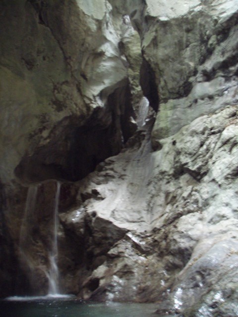 Palvico4.JPG - 72.02 kb