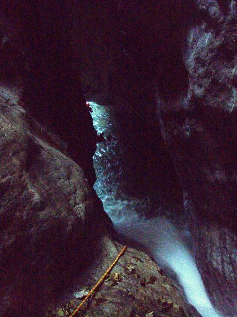 Palvico5.JPG - 84.13 kb