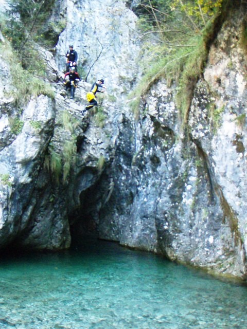 Palvico7.JPG - 105.9 kb