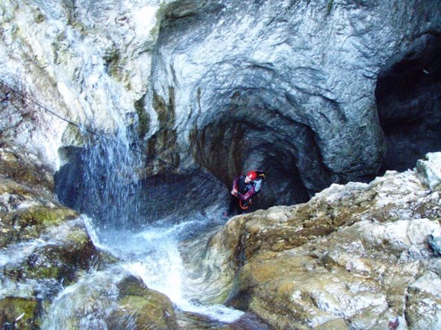 Palvico8.JPG - 115.69 kb