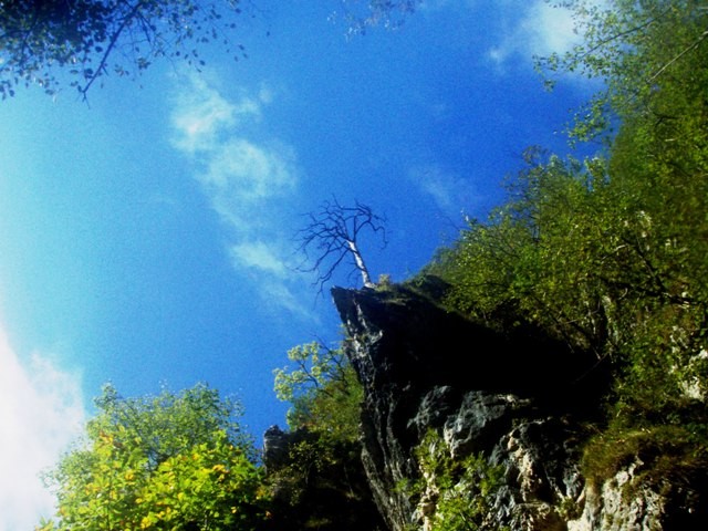 P9170236.JPG - 93.13 kb