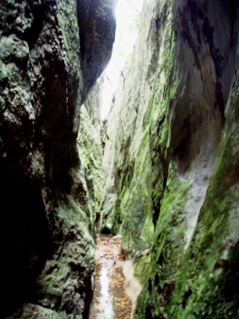 P9140067.JPG - 90.06 kb