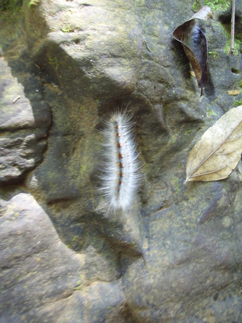 PA280063.JPG - 94.91 kb