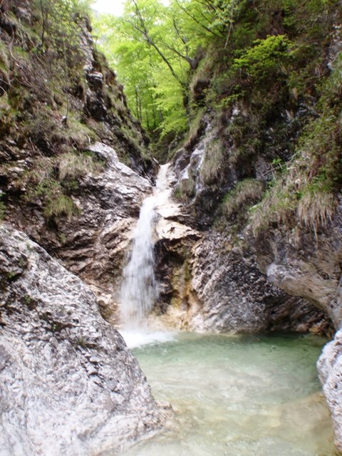 Fatarica3.JPG - 116.92 kb