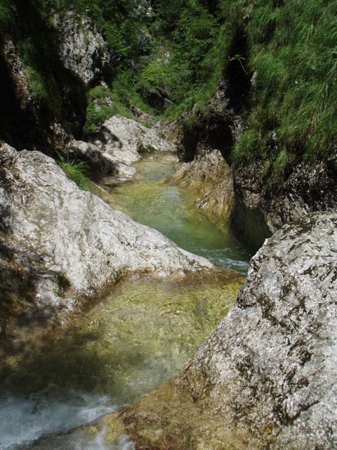 P7250028.JPG - 136.68 kb