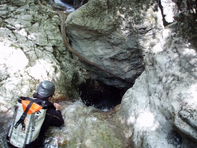 P7250060.JPG - 106.81 kb