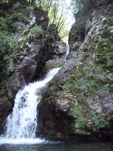 P7250075.JPG - 135.56 kb