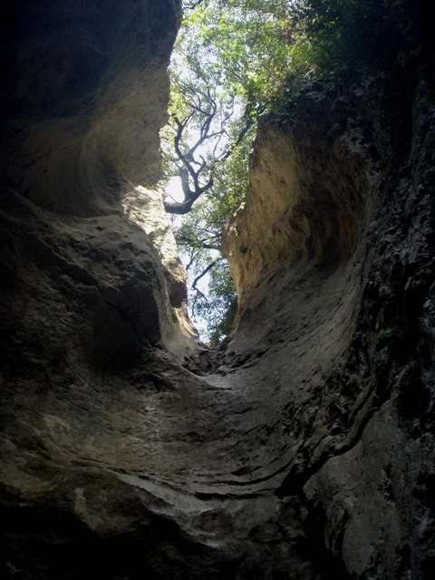 P8070011.JPG - 80.15 kb