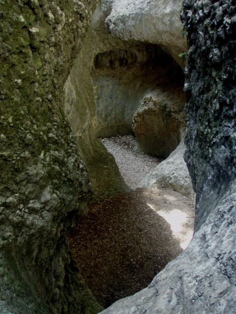 P8070027.JPG - 98.47 kb