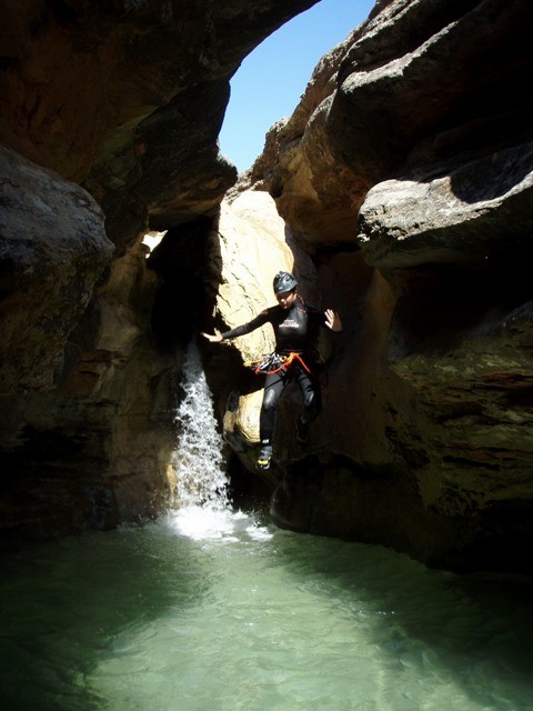 Formiga1.JPG - 70.4 kb