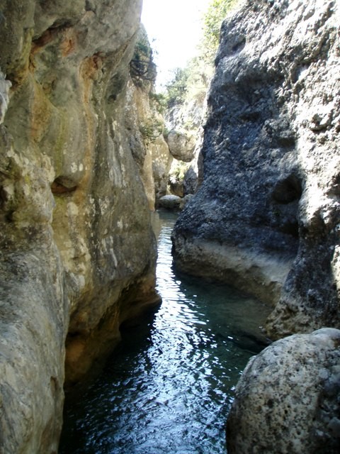 Formiga2.JPG - 107.87 kb