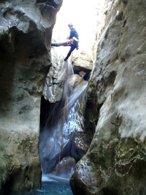 Formiga3.JPG - 88.42 kb