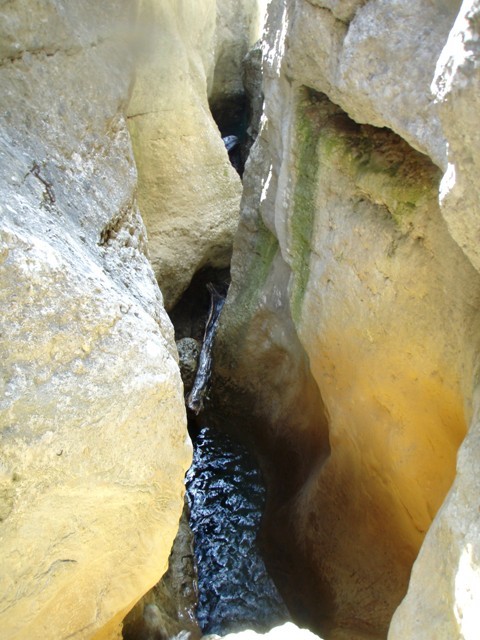 Formiga4.JPG - 90.4 kb