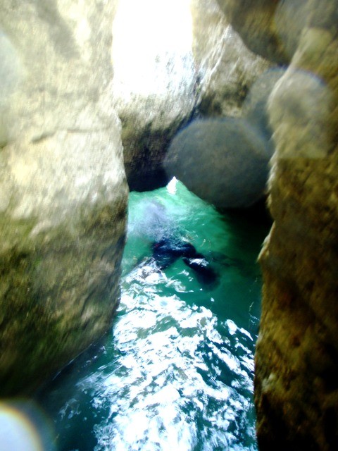 Formiga5.JPG - 83.33 kb