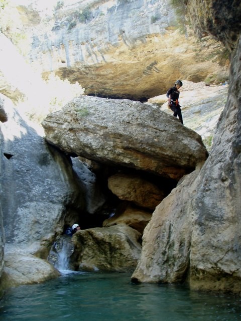 Formiga6.JPG - 90.03 kb