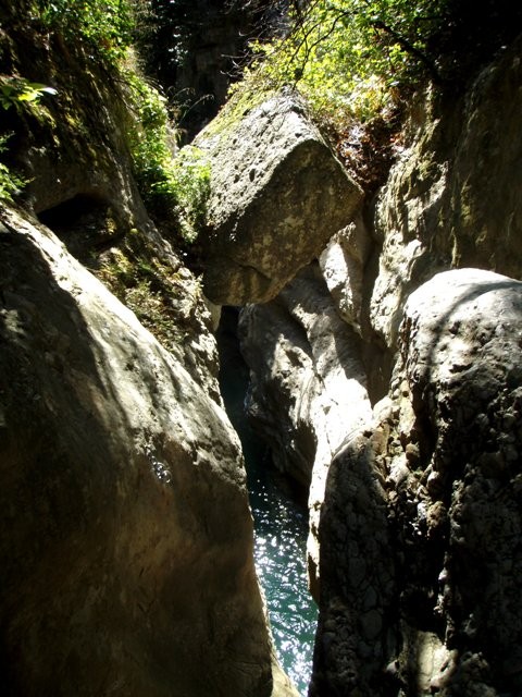 Formiga7.JPG - 113.07 kb