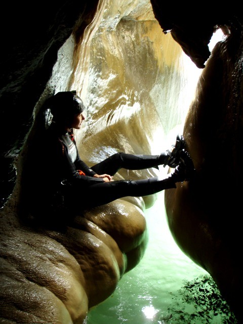 Formiga8.JPG - 77.17 kb