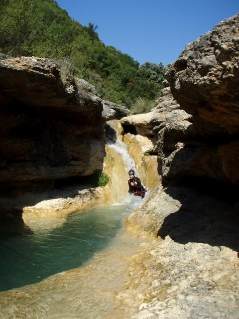 Formiga9.JPG - 84.6 kb