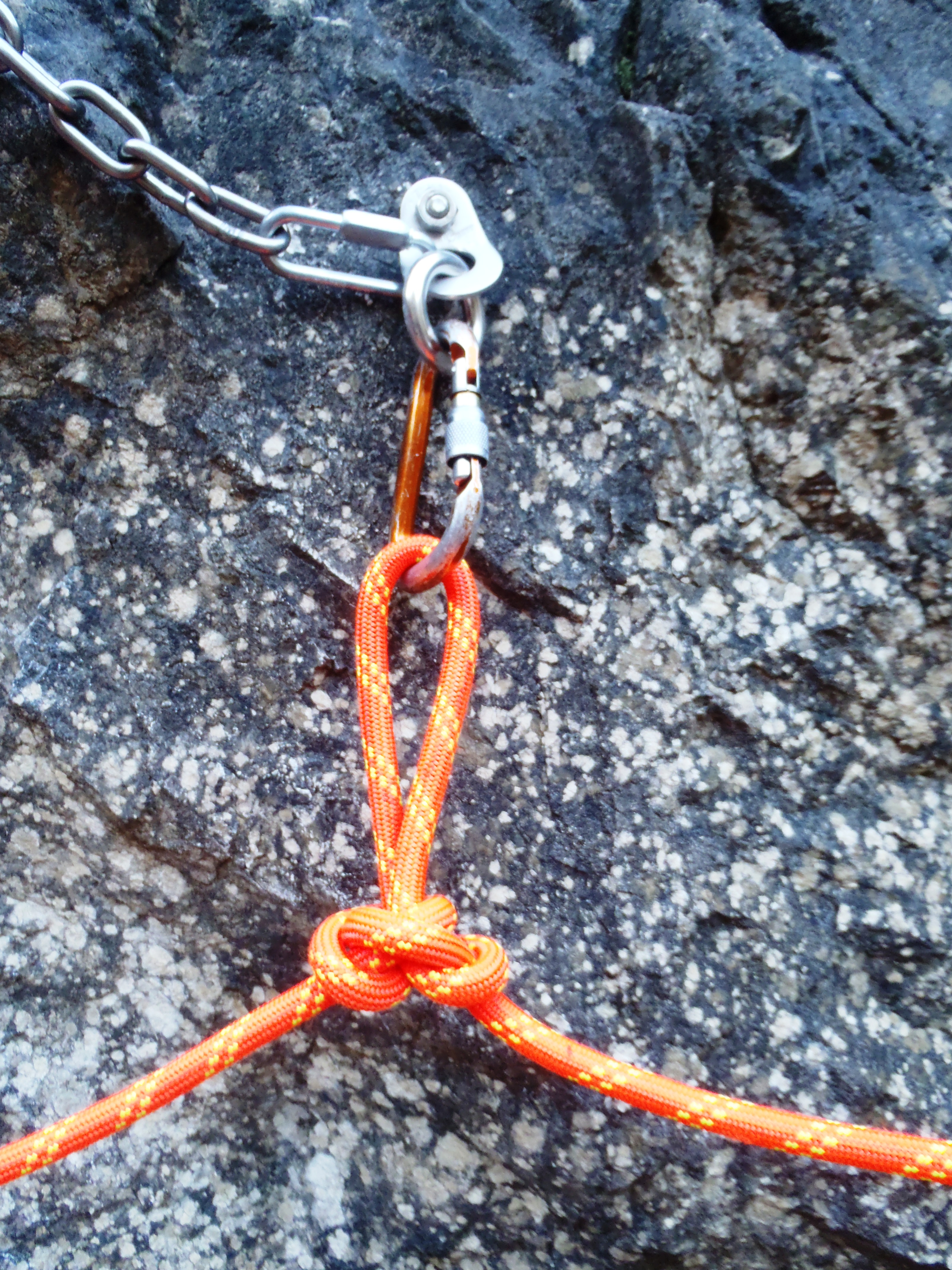 081 Schmetterlingsknoten.JPG - 2.91 MB