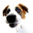 dog.gif - 2.14 kb