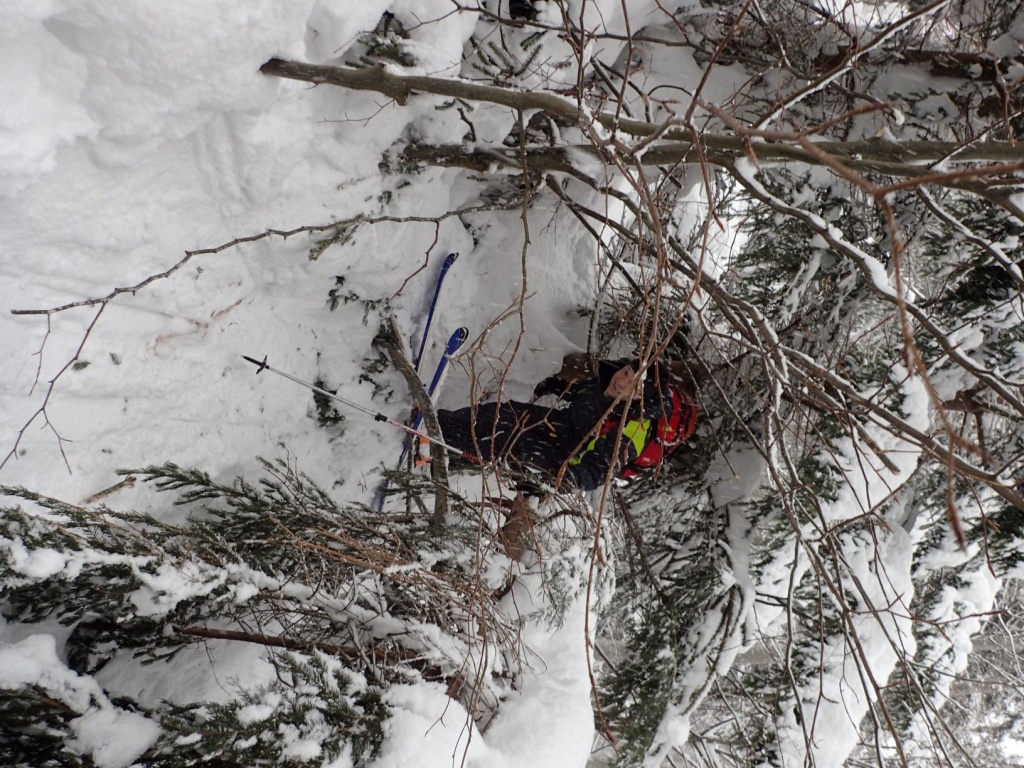 lvs_19_20190210_1259500469.jpg - 381.29 kb