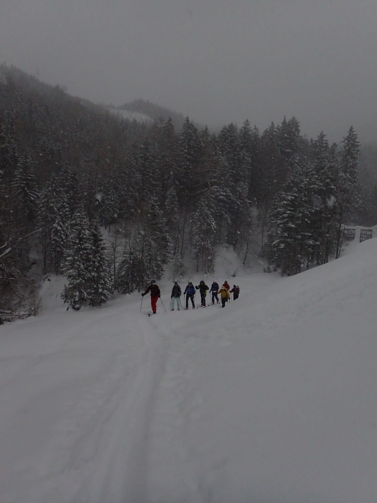 lvs_19_20190210_1547933283.jpg - 166.21 kb