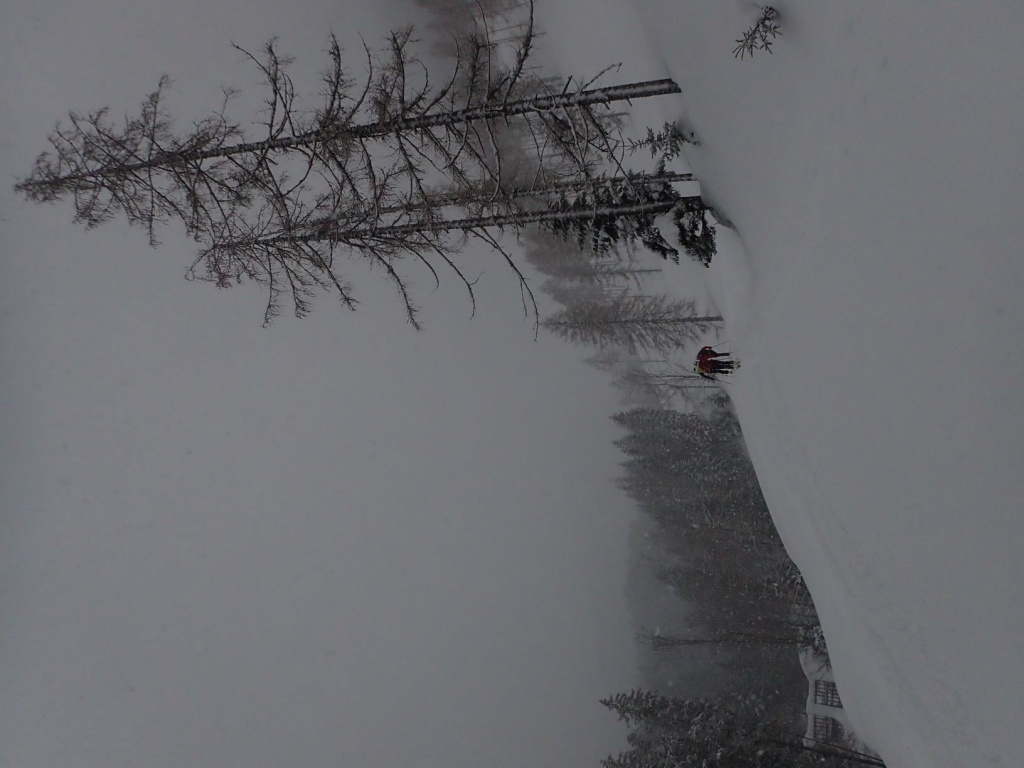 lvs_19_20190210_1898482226.jpg - 164.09 kb