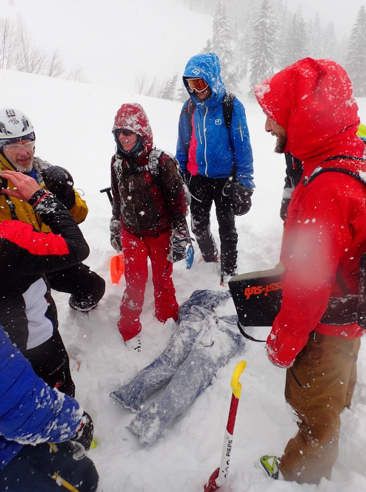 lvs_19_20190210_1038660992.jpg - 346.38 kb