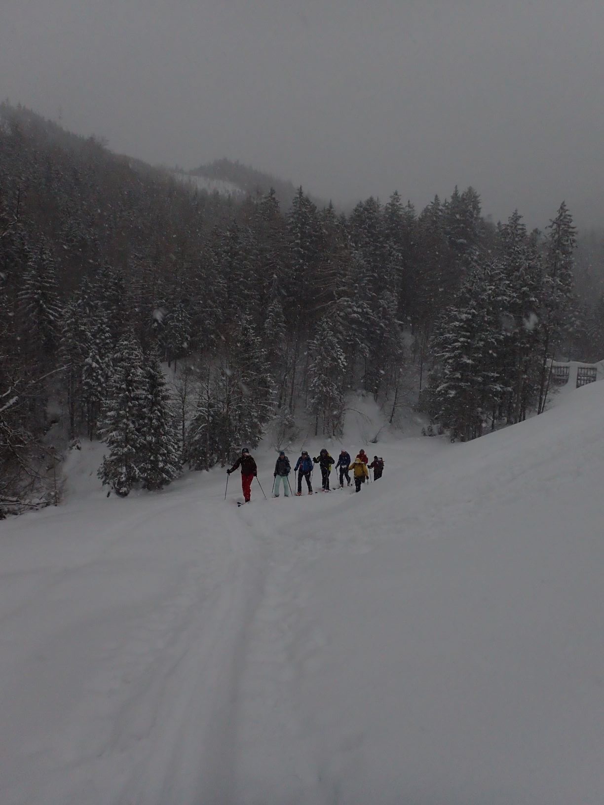 lvs_19_20190210_1547933283.jpg - 159.51 kb