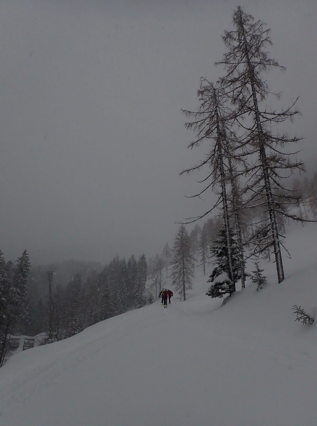 lvs_19_20190210_1659198381.jpg - 158.58 kb