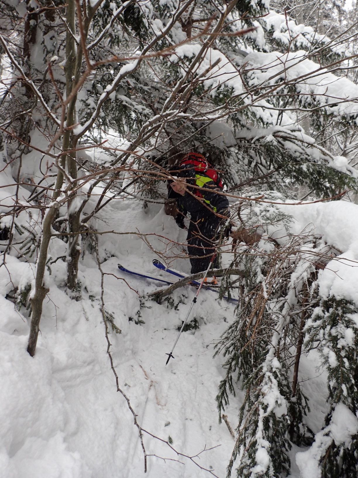 lvs_19_20190210_1702001060.jpg - 412.66 kb