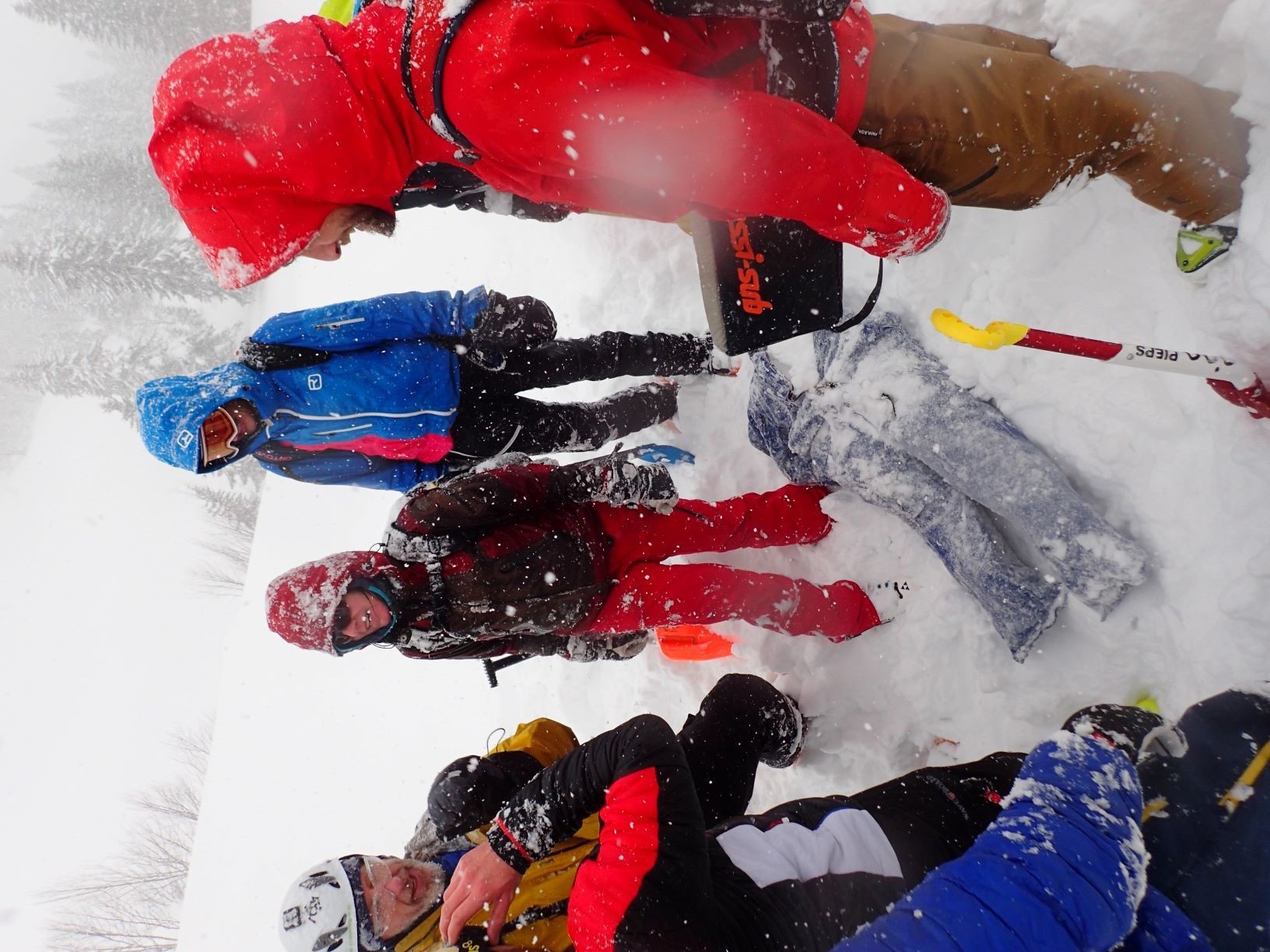 lvs_19_20190210_1722480953.jpg - 394.96 kb