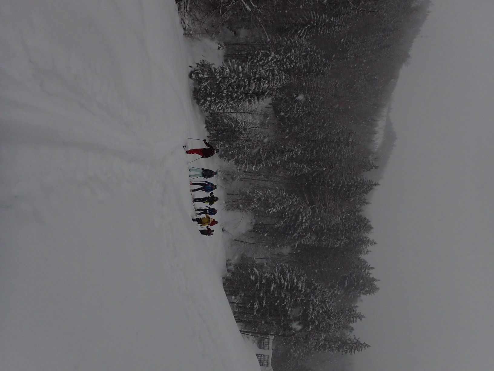 lvs_19_20190210_2063774999.jpg - 2.93 MB