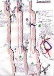 Spezial Systeme_12