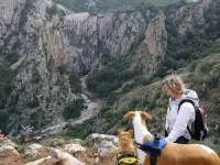 Bidighinzu und co_10