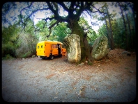 KorsikaSardinien Roli